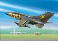 Zestaw upominkowy Tornado ECR"Tigermeet 2011"- 1:7-189