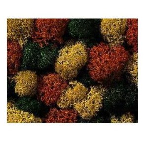 Porosty jesienny mix 35g 08630