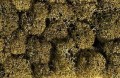 Porosty skalny szary 35g 08600_1
