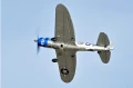 16.webp