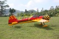 Yak 55M 3D 100cc - wersja limitowana_1