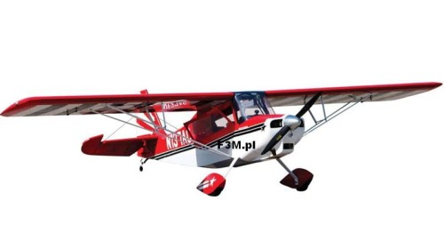 Decathlon 100cc ARF Hangar 9_1