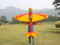 Yak 55M 3D 30cc GW V3_1