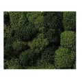 Porosty skalne zielone 35g 08610_1
