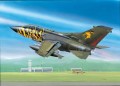 Zestaw upominkowy Tornado ECR"Tigermeet 2011"- 1:72 model plastikowy do sklejania (64847)_1